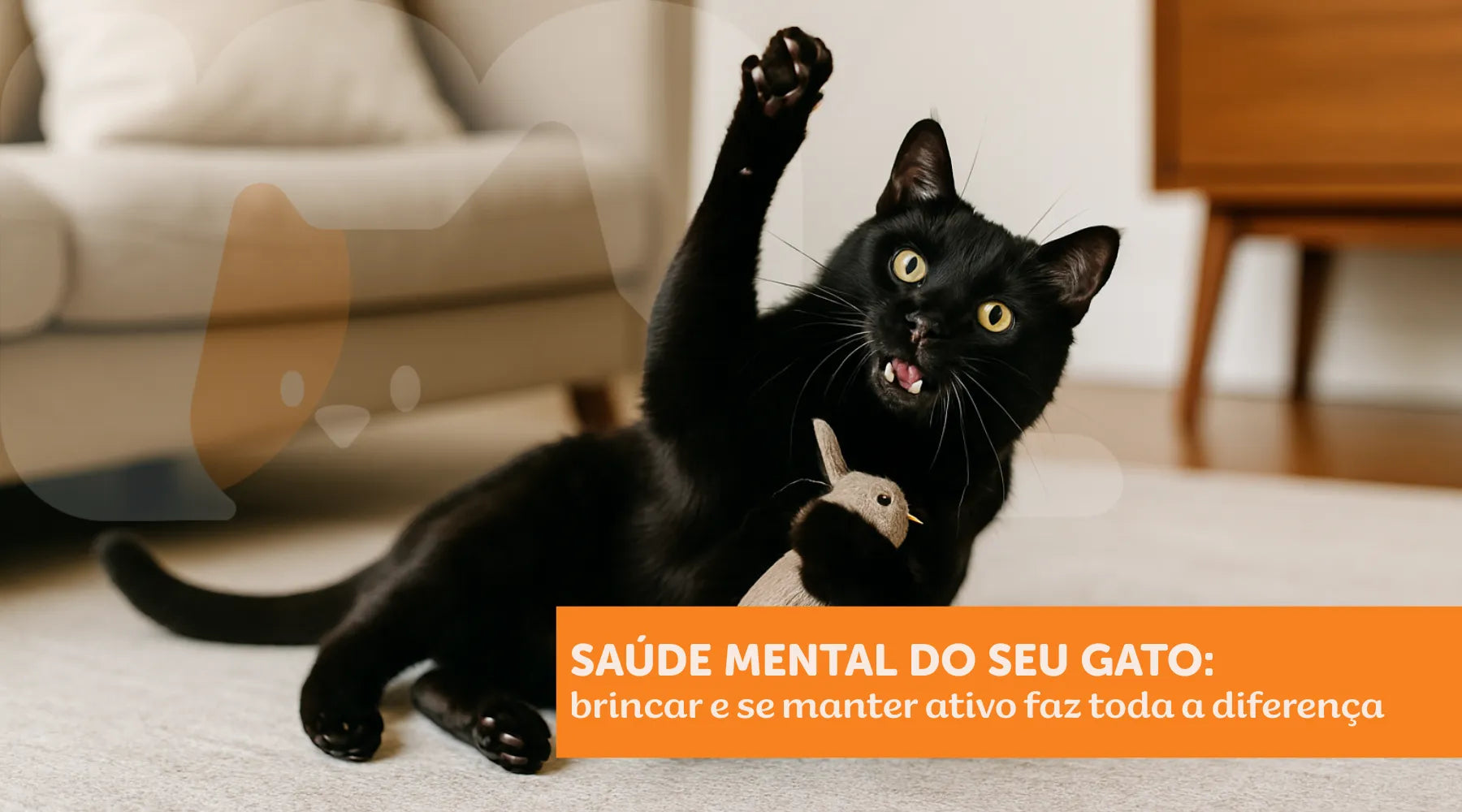 Saúde mental do seu gato: brincar e se manter ativo faz toda a diferença