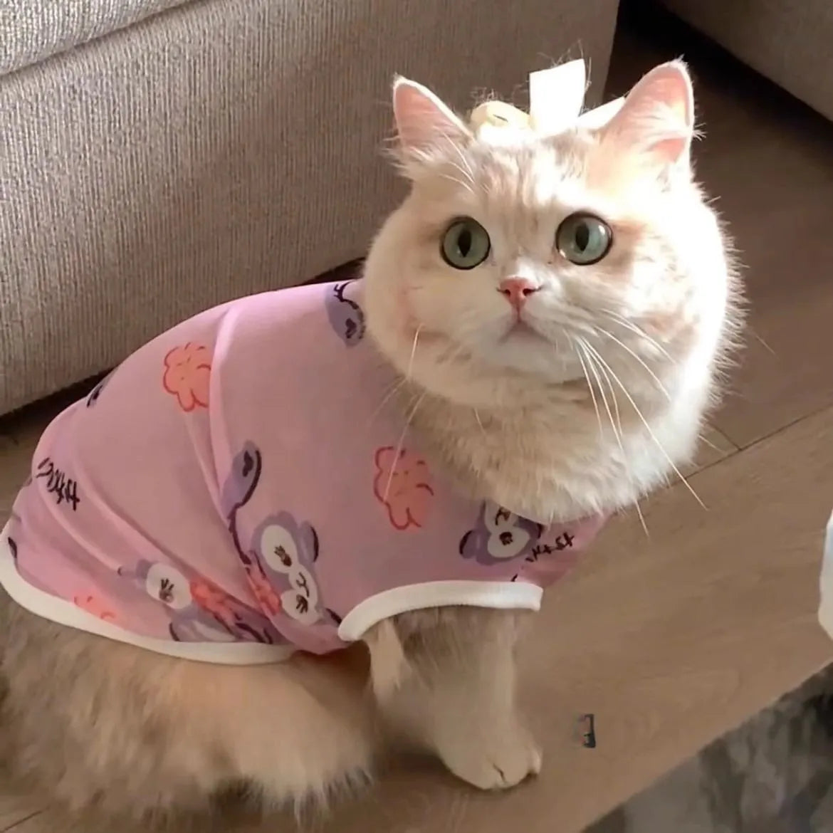 Colete Gradiente Dourado – Miauverso