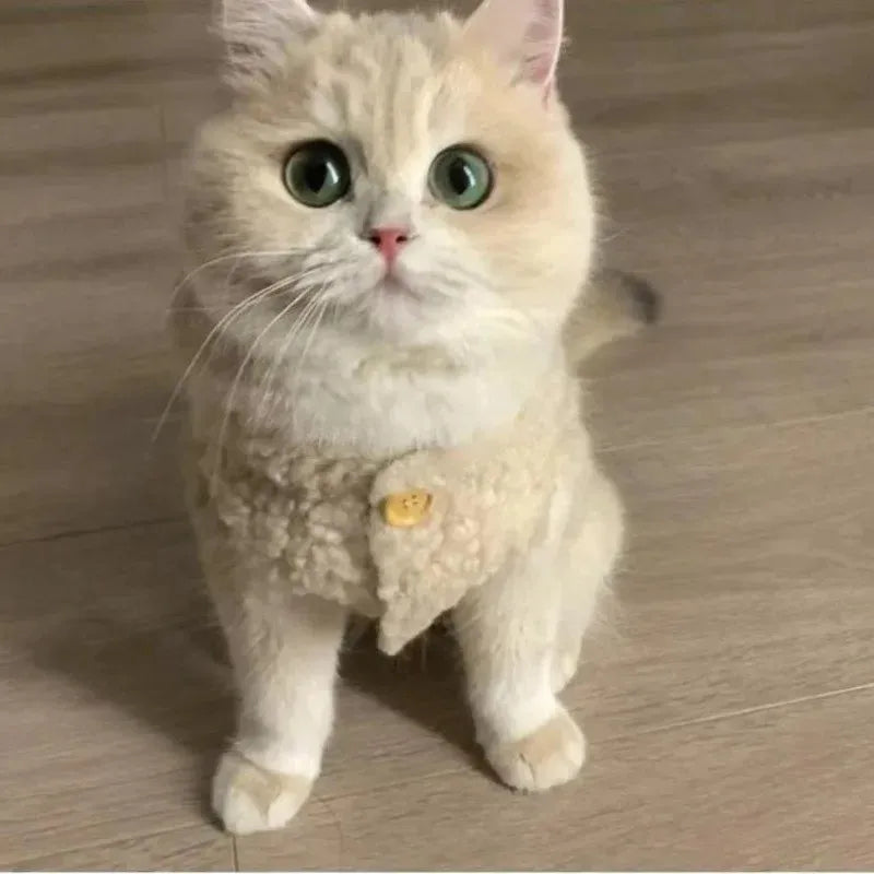 Colete Lambhair de Lã Macia – Miauverso