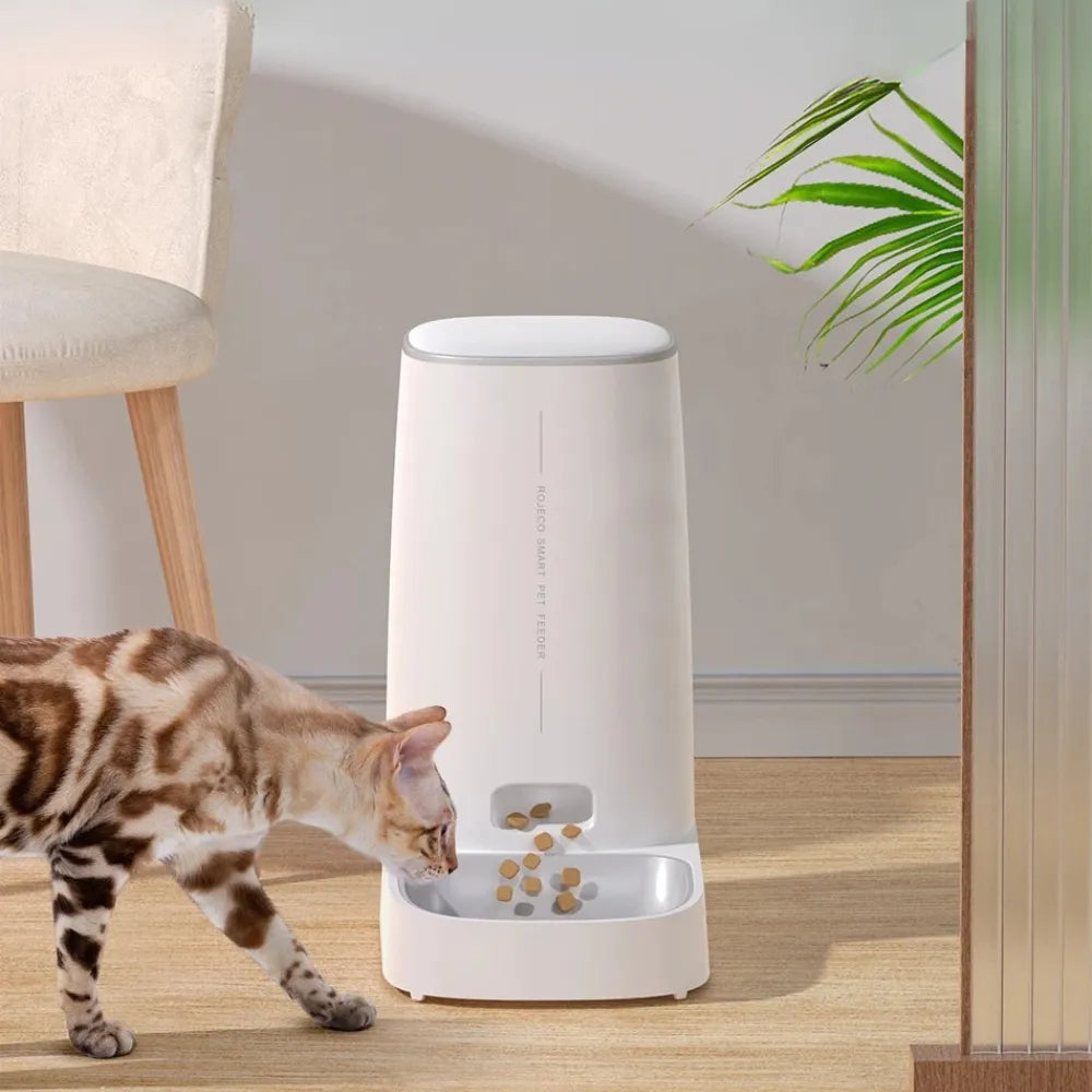 Alimentador Automático Inteligente WiFi para Gatos - Miauverso