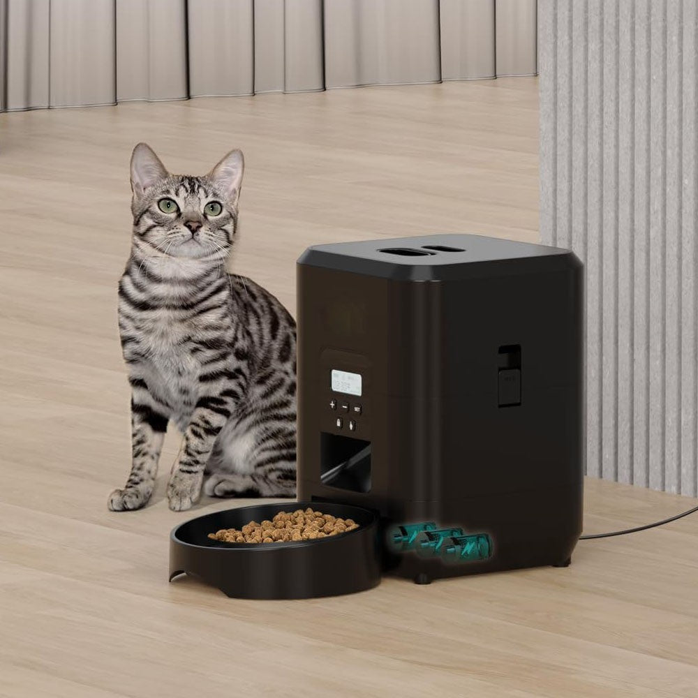 Alimentador Automático com Timer e Display Digital para Gatos - Miauverso