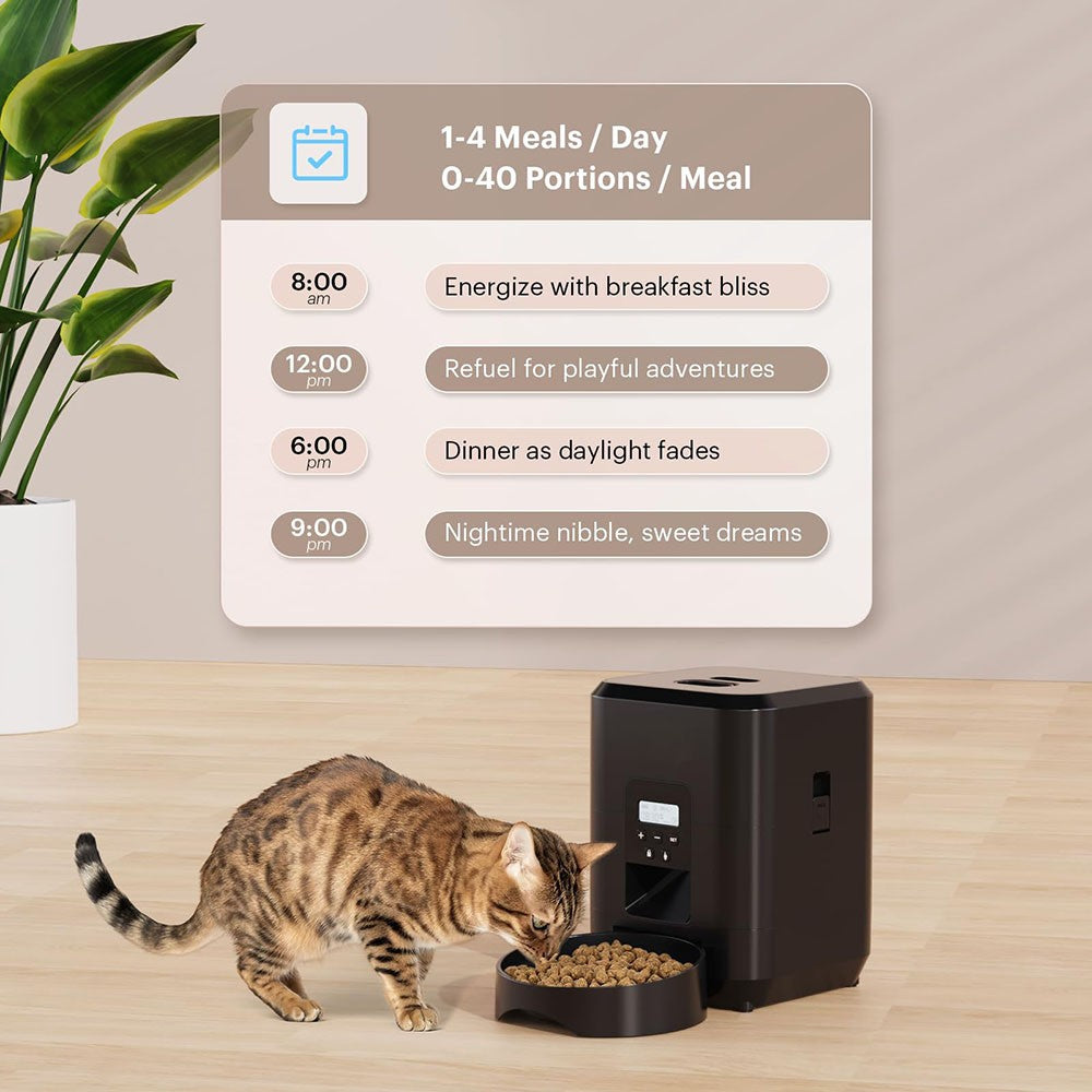 Alimentador Automático com Timer e Display Digital para Gatos - Miauverso