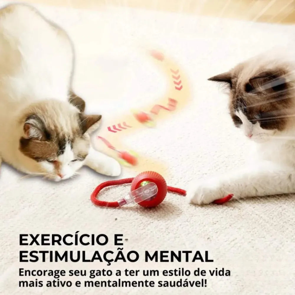 Bola-Inteligente-com-Sensor-para-Gato-Miauverso