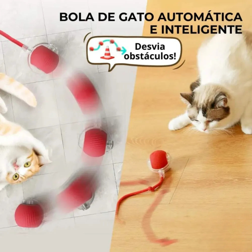 Bola-Inteligente-com-Sensor-para-Gato-Miauverso