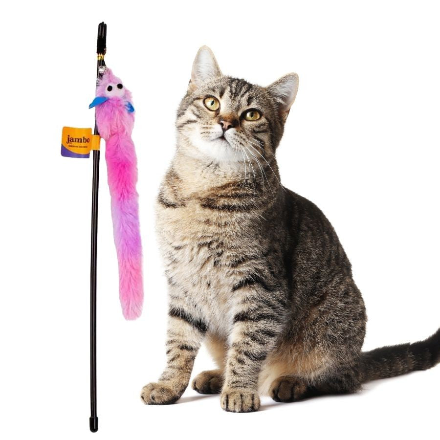 Brinquedo Varinha com Pluma Rainbow - Miauverso