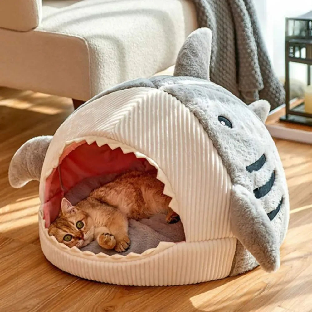 Cama-de Gato-Tubarão-Miauverso