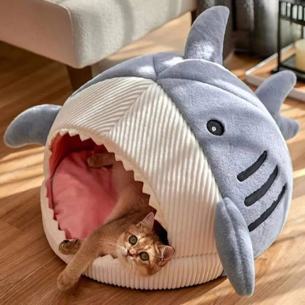 Cama-de Gato-Tubarão-Miauverso