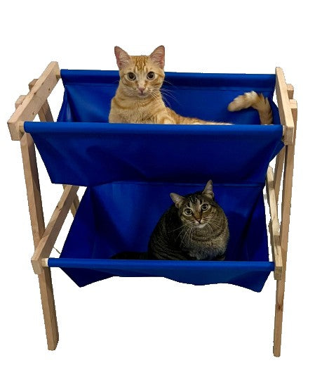 Cama Organibox em Madeira Pinus - Miauverso