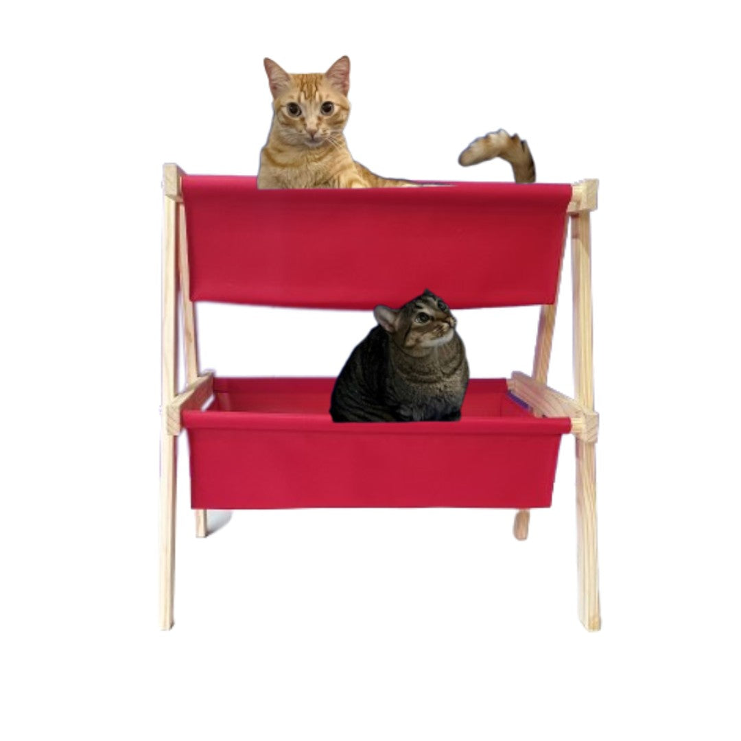 Cama Organibox em Madeira Pinus - Miauverso