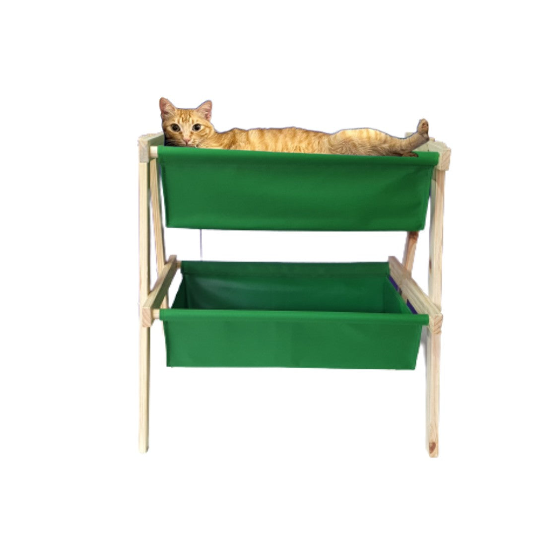 Cama Organibox em Madeira Pinus - Miauverso