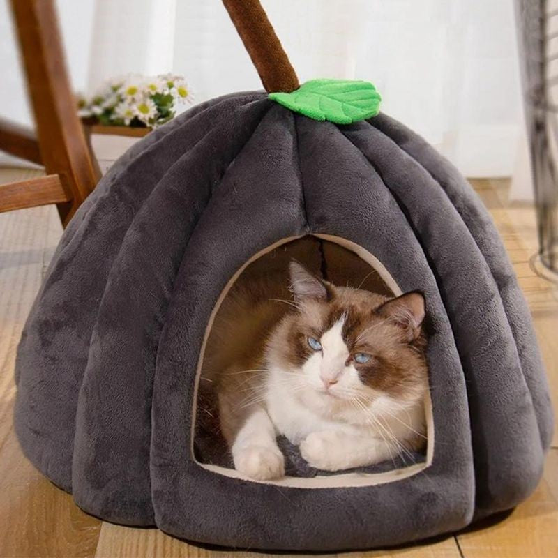 Cama de Pelúcia Formato abobora para Gatos - Miauverso