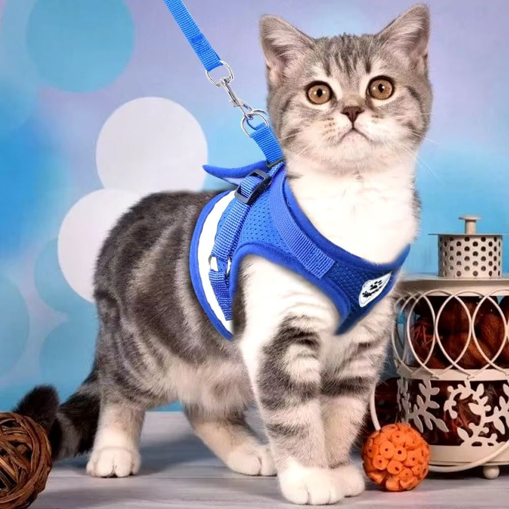 Coleira Peitoral com Guia para Gatos - Miauverso