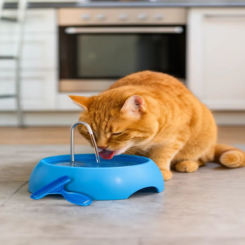 Fonte Bebedouro Elétrica 600ml para Gatos – Miauverso