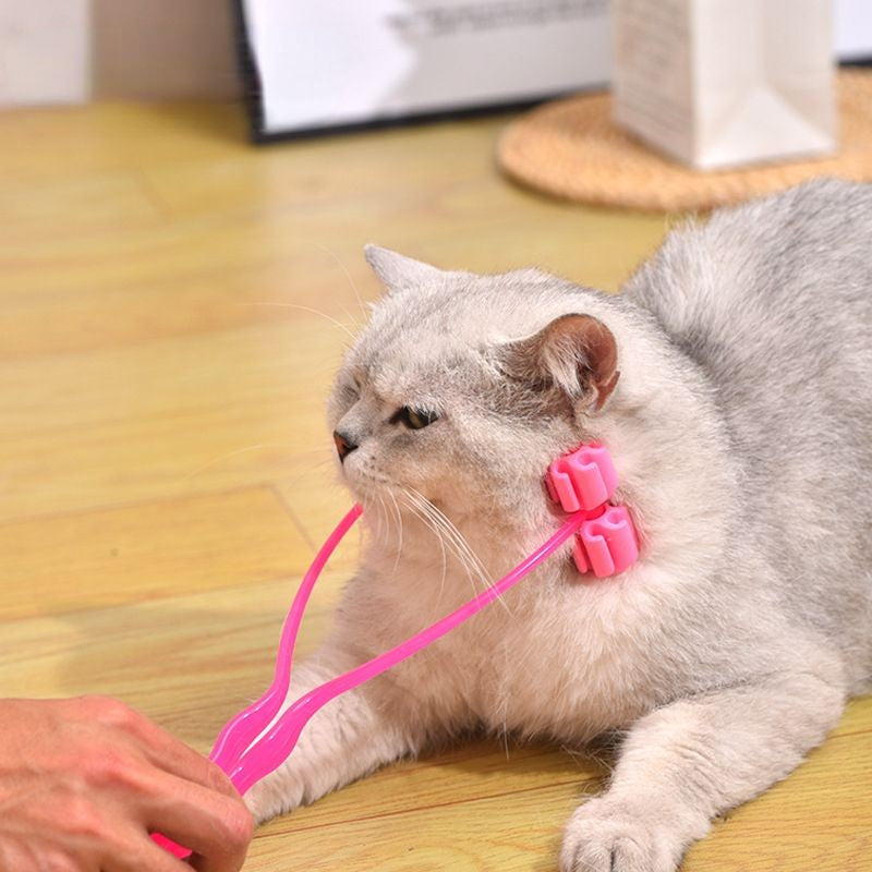 Massageador de Massagem e Higiene para Gatos - Miauverso