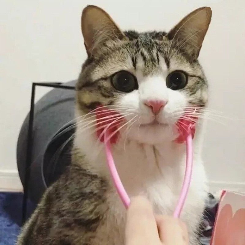 Massageador de Massagem e Higiene para Gatos - Miauverso