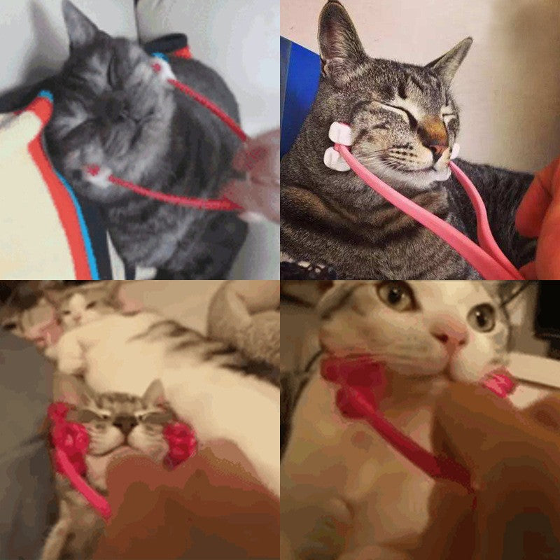 Massageador de Massagem e Higiene para Gatos - Miauverso