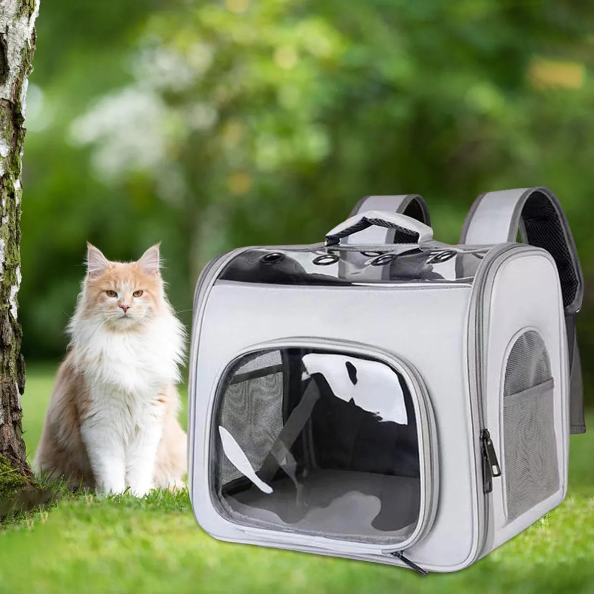 Mochila Luxo para Transporte de Gatos - Miauverso