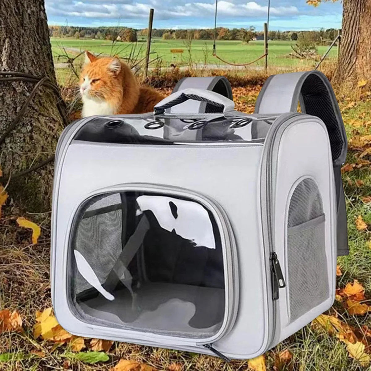 Mochila Luxo para Transporte de Gatos - Miauverso