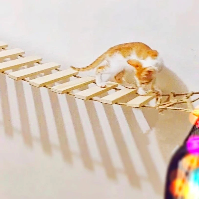 Ponte-Escalada-de-Parede-para-Gatos-Miauverso