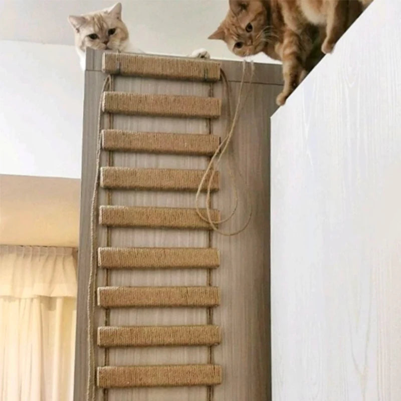 Ponte-Escalada-de-Parede-para-Gatos-Miauverso