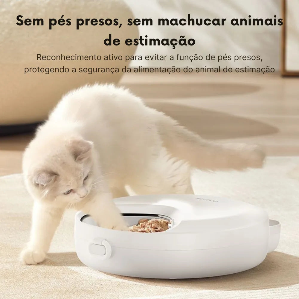 Alimentador Automático com 4 Refeições, Compartimento Refrigerado e Painel Touch - Miauverso