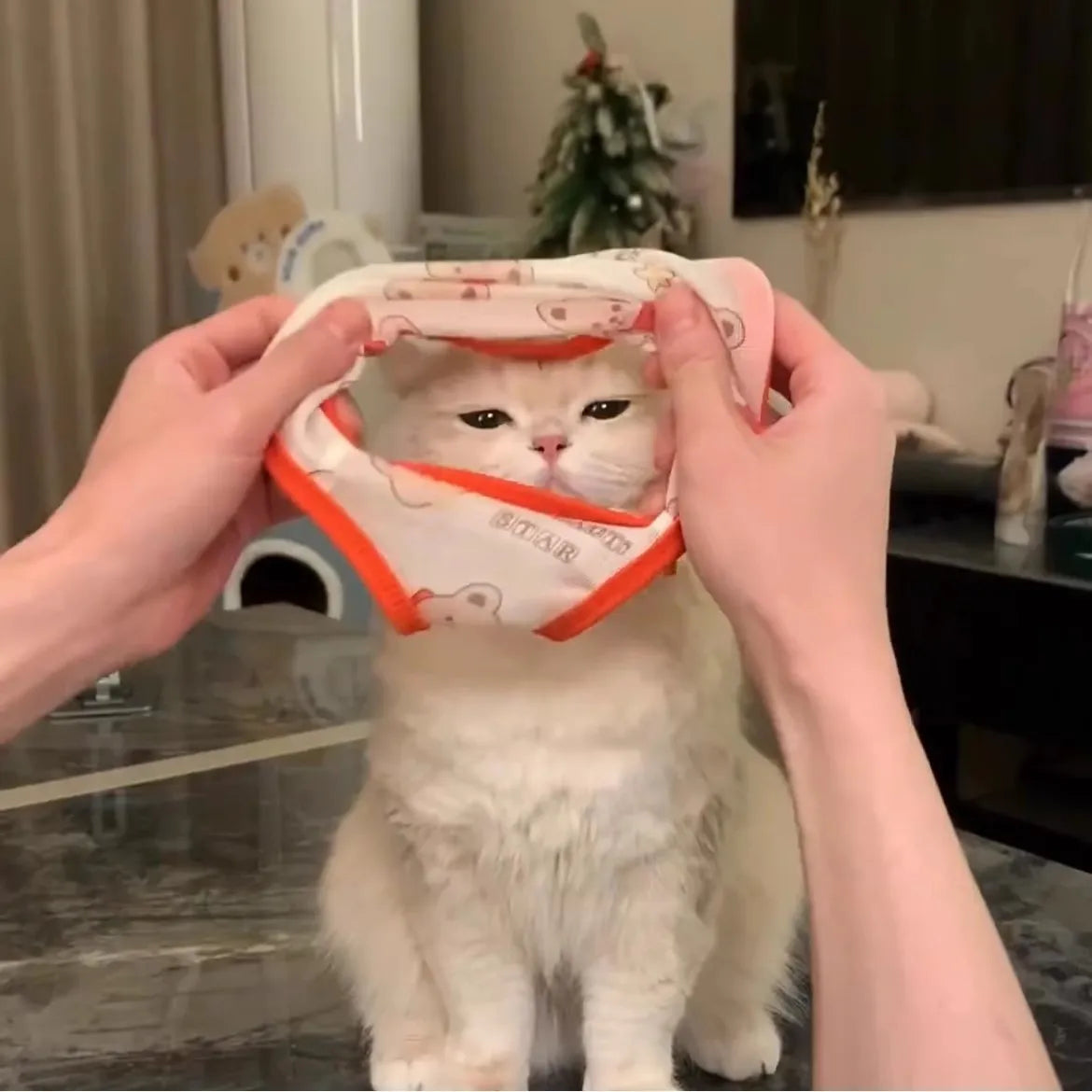 Colete Gradiente Dourado – Miauverso