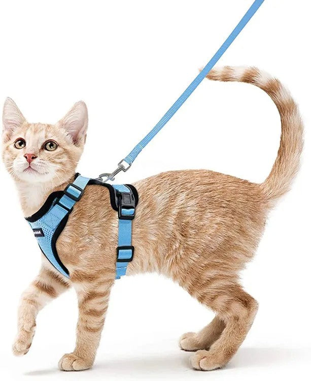 Arnês e trela para gatos para caminhar, arnês de colete ajustável macio à pr