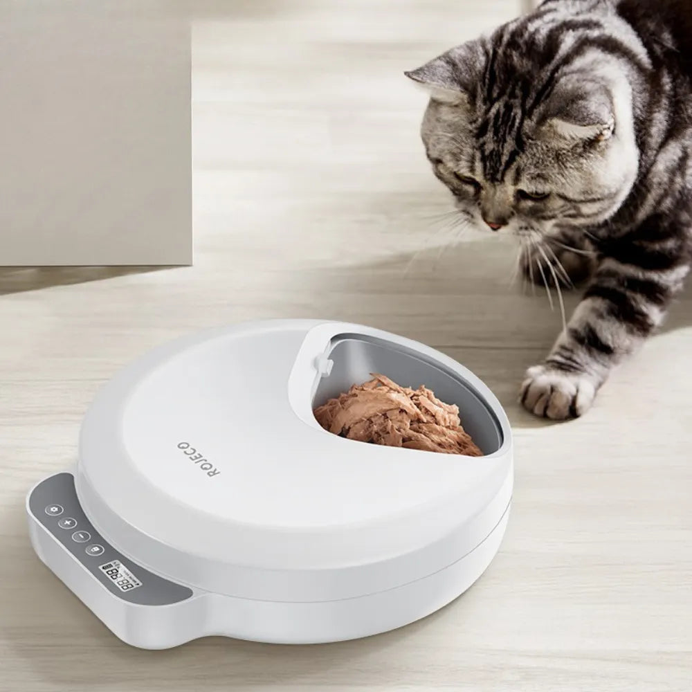 Alimentador Automático com 4 Refeições, Compartimento Refrigerado e Painel Touch - Miauverso