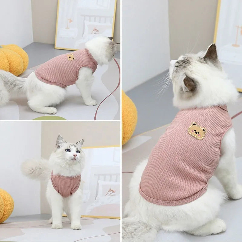 Colete Urso Minimalista – Miauverso
