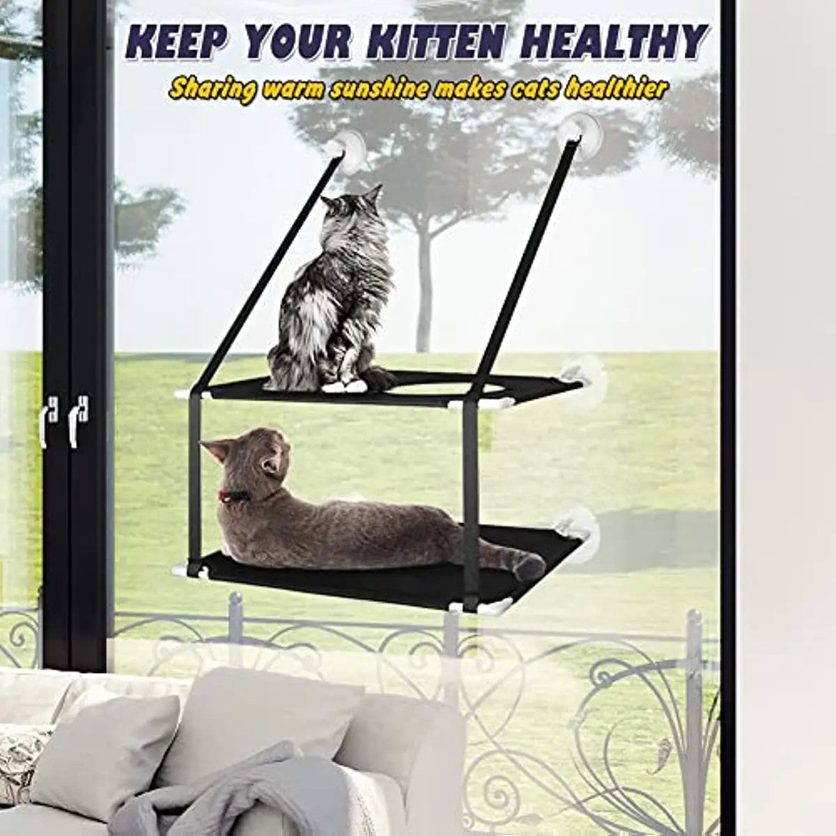 Poleiro de Janela Reforçado com Ventosas e 360° de Banho de Sol para Gatos - Miauverso