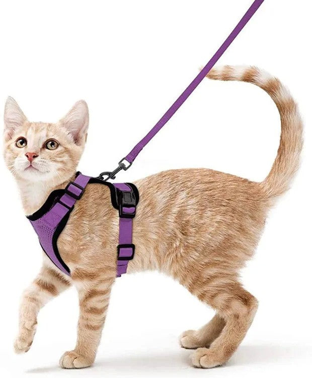 Arnês e trela para gatos para caminhar, arnês de colete ajustável macio à pr