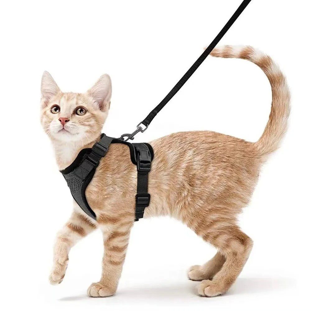 Arnês e trela para gatos para caminhar, arnês de colete ajustável macio à pr