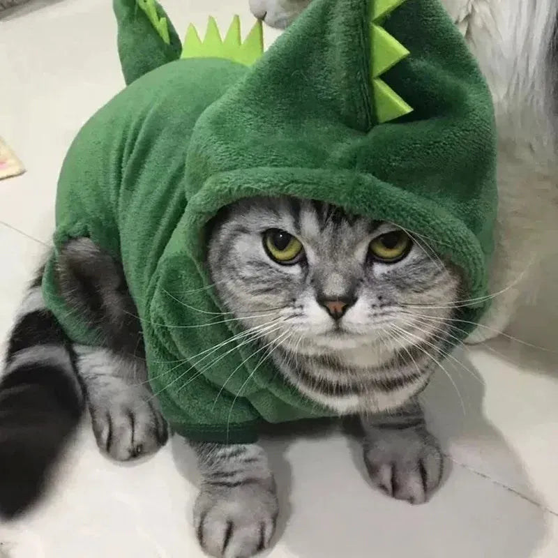 Fantasia Dino Divertido - Miauverso