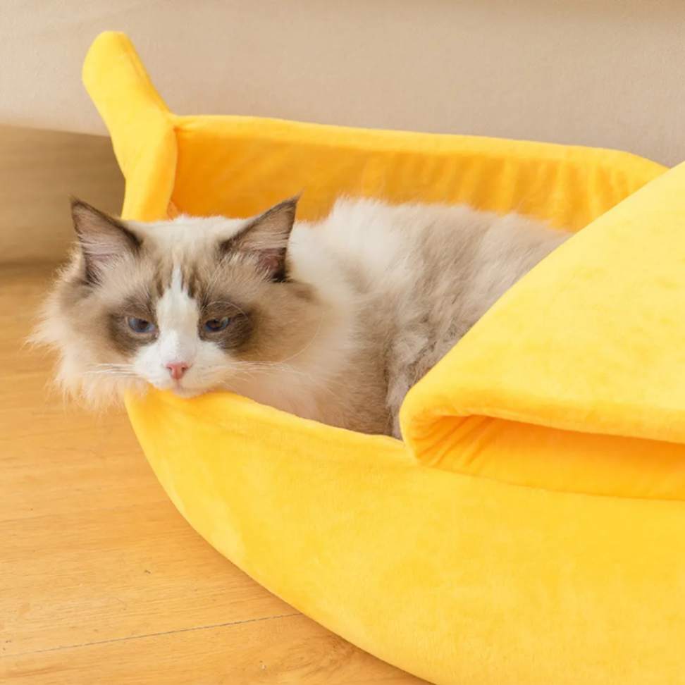 Cama de Gato Banana - Miauverso