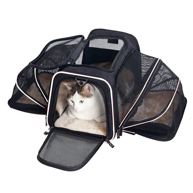 Bolsa-de-Transporte-Dobrável-para-Gatos-Miauverso