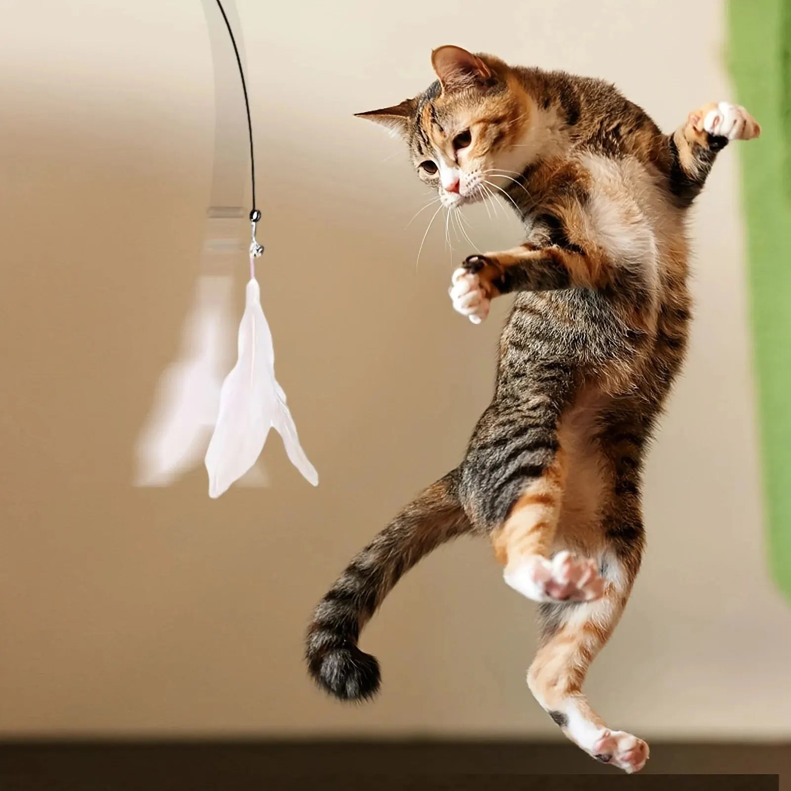 Brinquedo-Interativo-com-Pena-e-Sino-para-Gatos-Miauverso