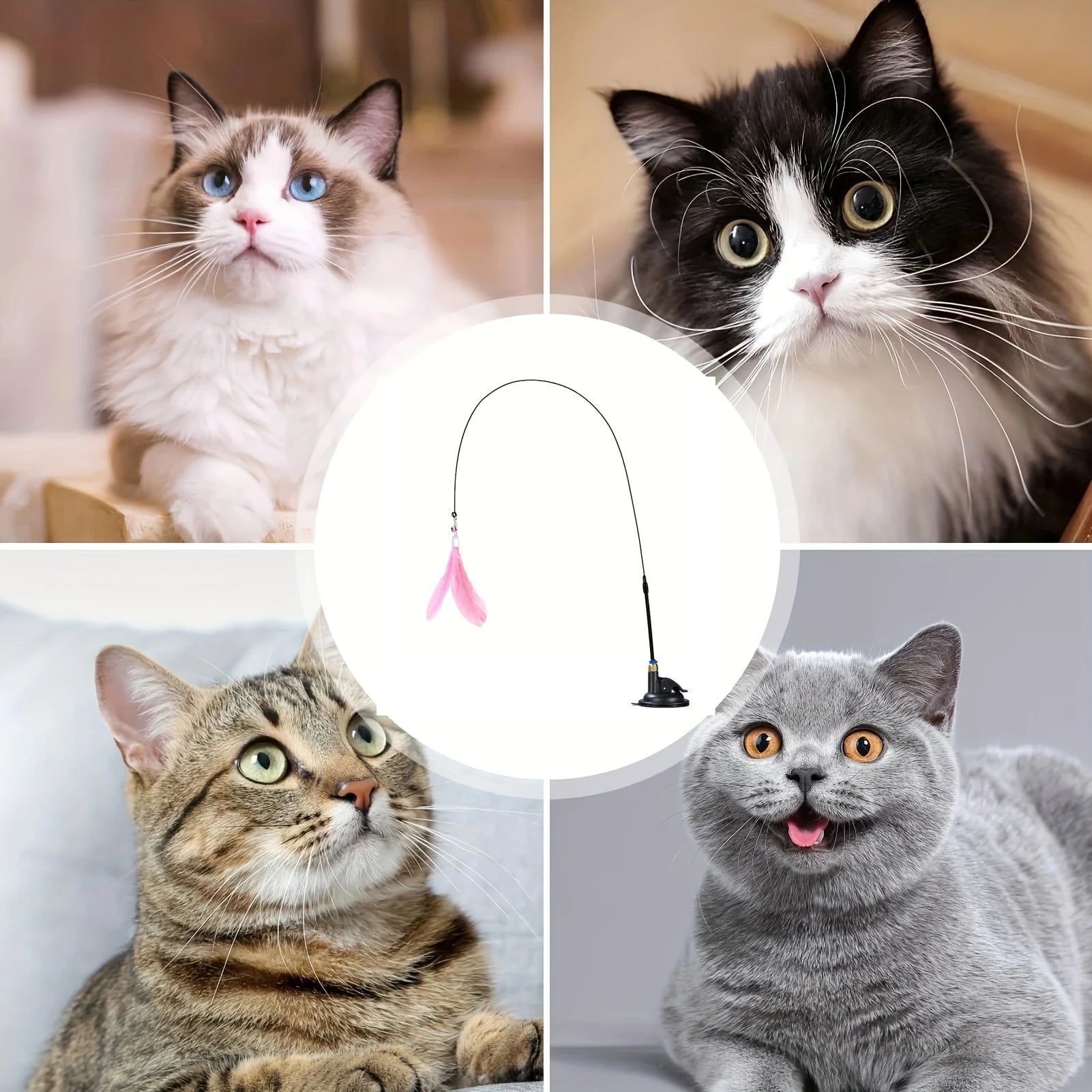 Brinquedo-Interativo-com-Pena-e-Sino-para-Gatos-Miauverso