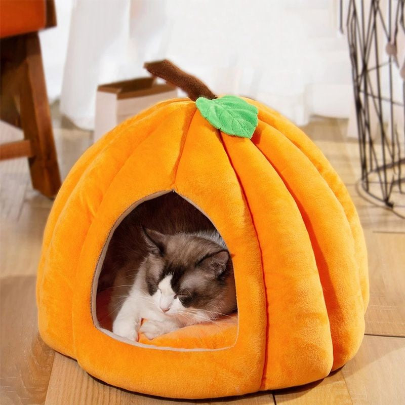 Cama de Pelúcia Formato abobora para Gatos - Miauverso