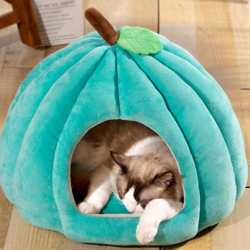 Cama de Pelúcia Formato abobora para Gatos - Miauverso
