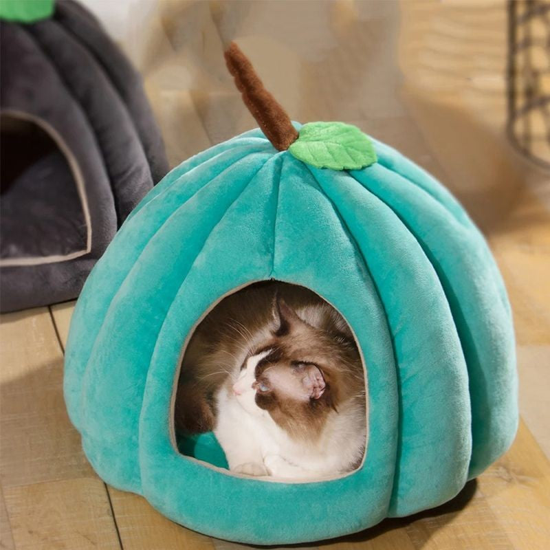Cama de Pelúcia Formato abobora para Gatos - Miauverso