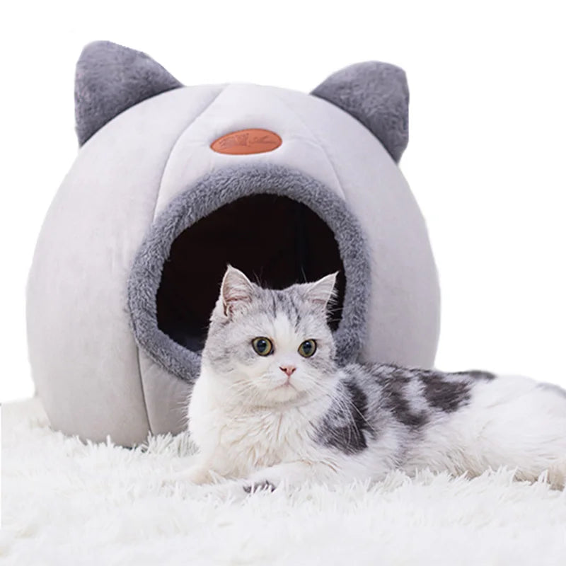 Casa-Esconderijo-Fechado-para-Gatos-Miauverso