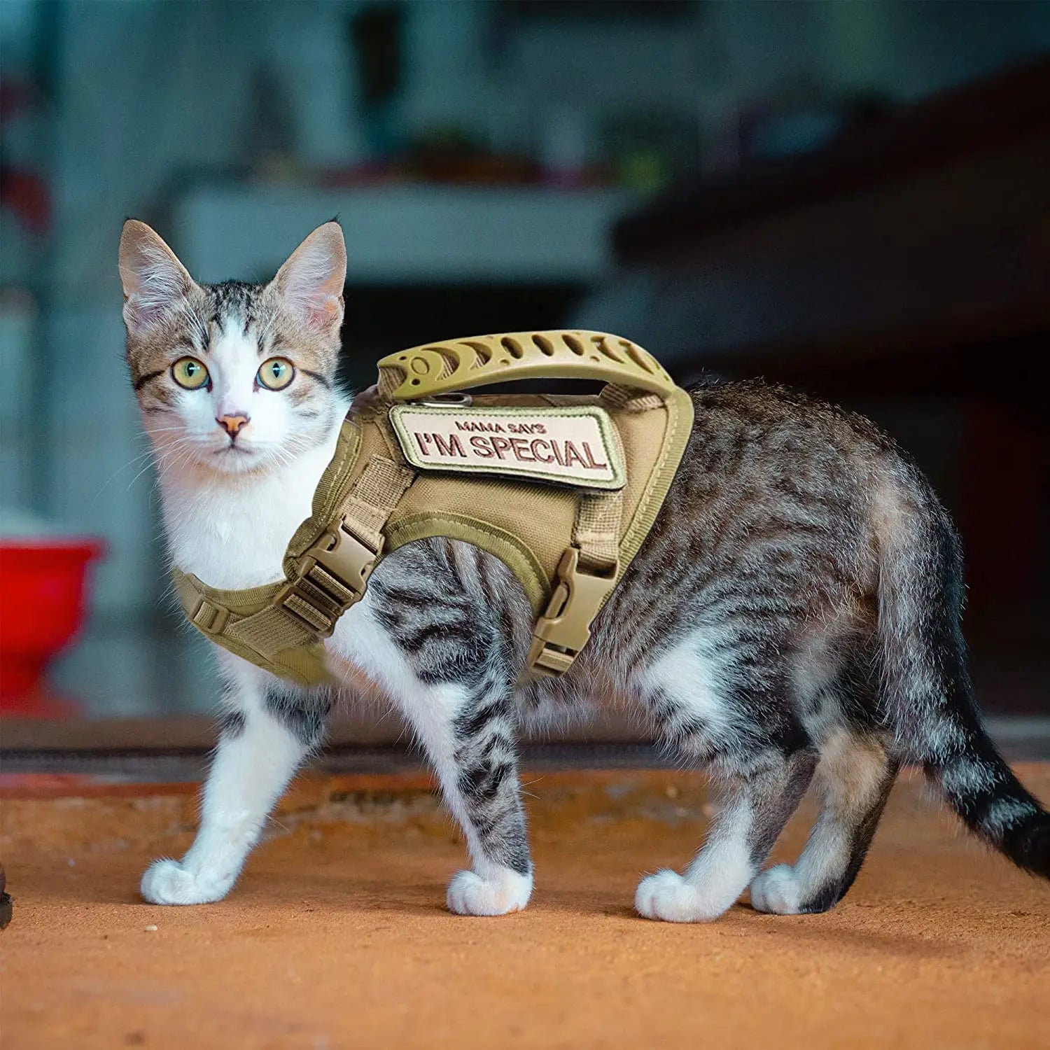 Coleira-Ajustável-com-Alça-para-Gatos-Miauverso