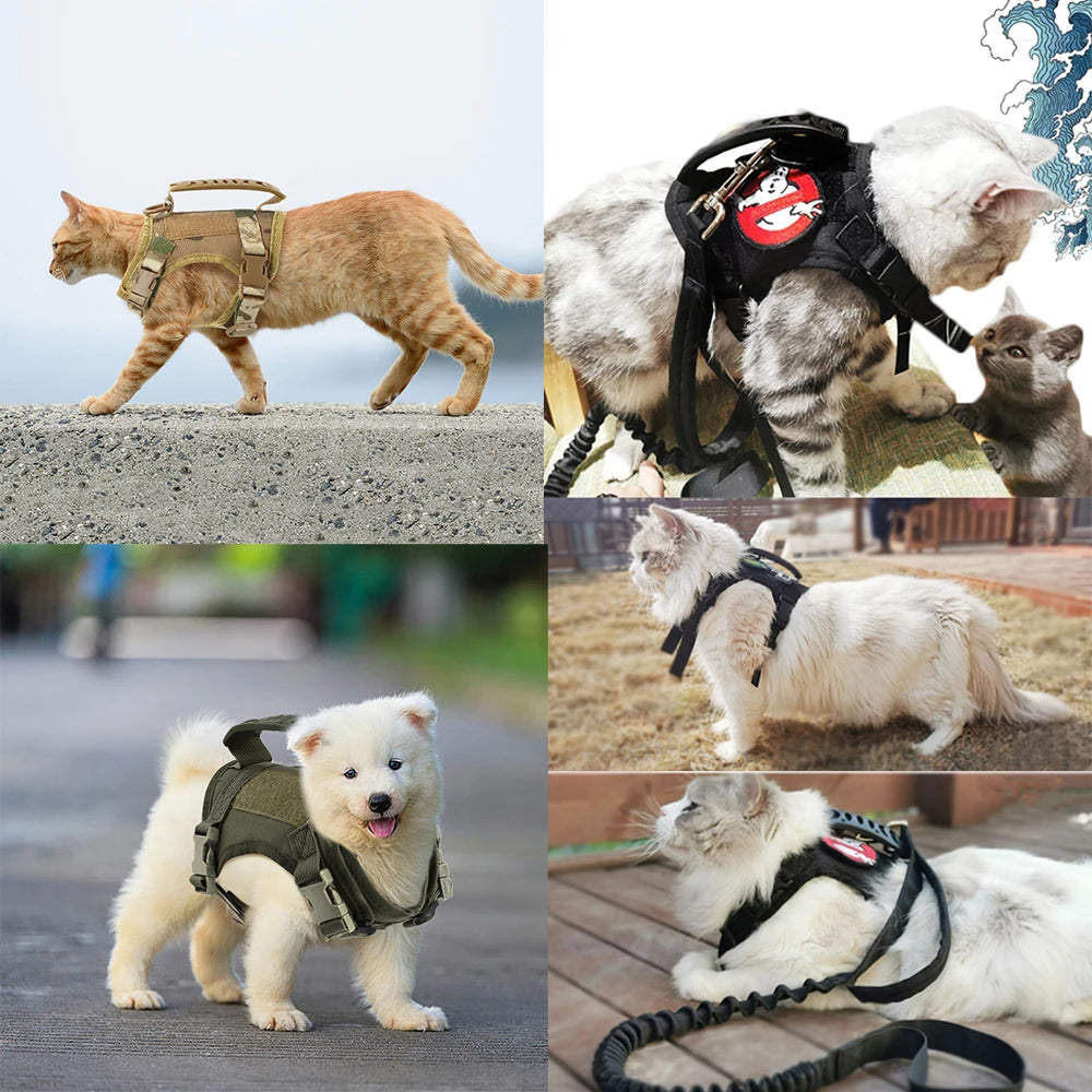 Coleira-Ajustável-com-Alça-para-Gatos-Miauverso