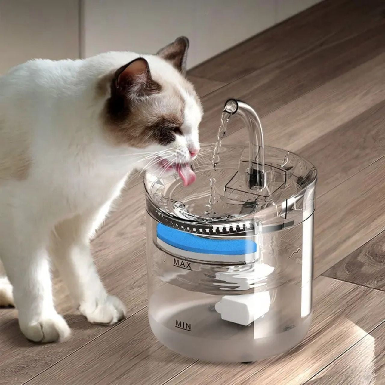 Fonte Bebedouro Moderno Elétrico 2.5L - Miauverso