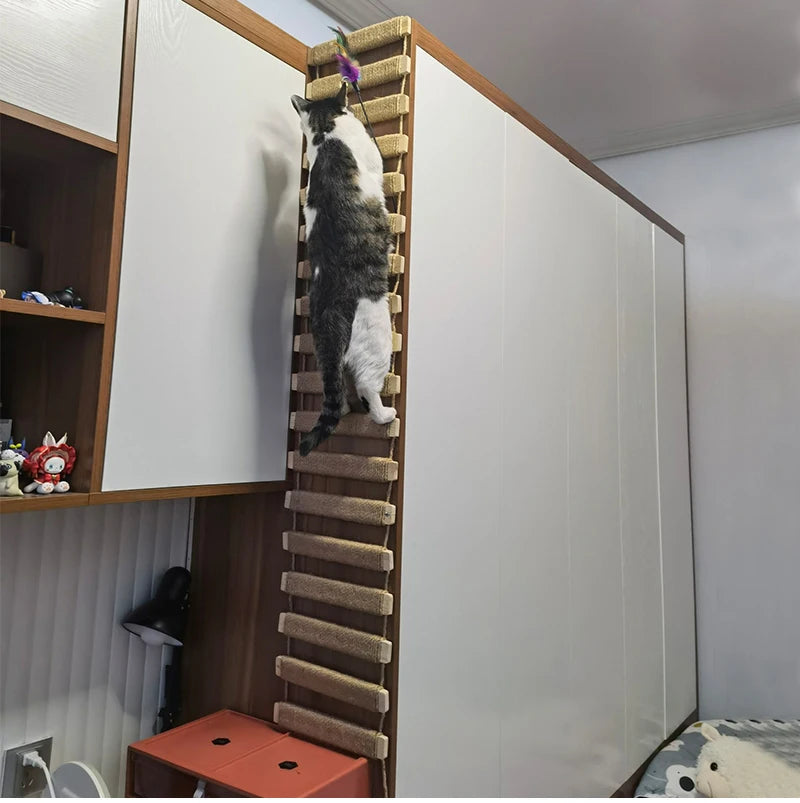 Ponte-Escalada-de-Parede-para-Gatos-Miauverso