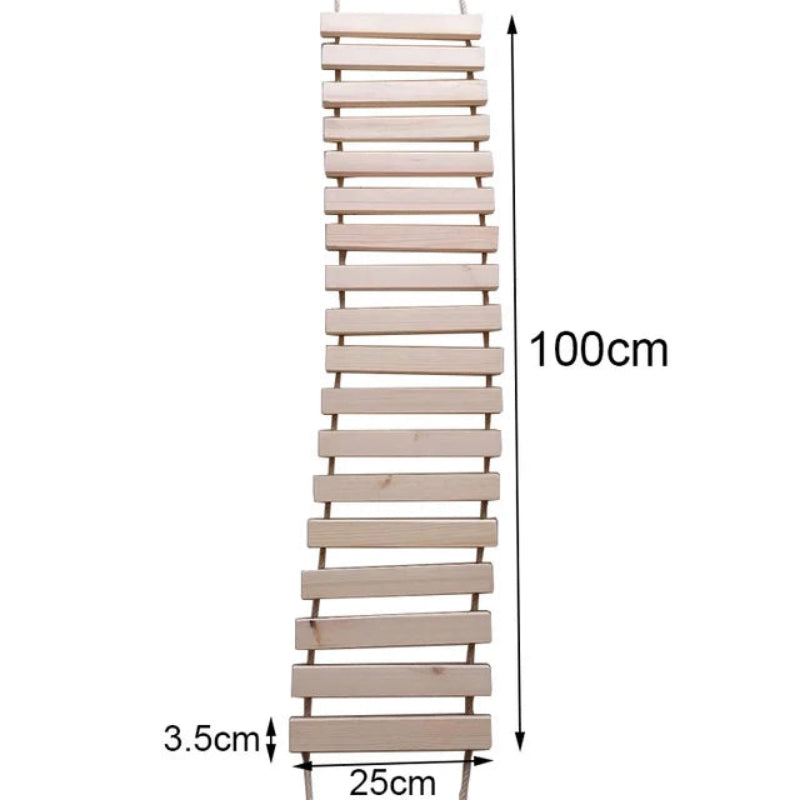 Ponte-Escalada-de-Parede-para-Gatos-Miauverso