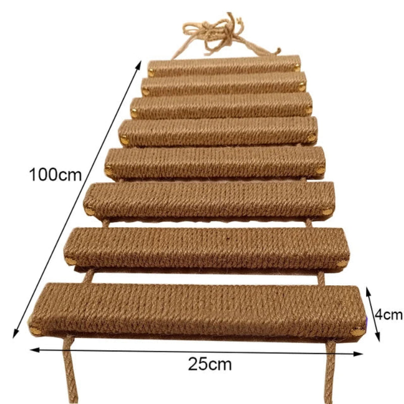 Ponte-Escalada-de-Parede-para-Gatos-Miauverso