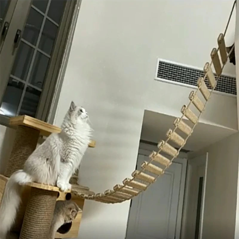 Ponte-Escalada-de-Parede-para-Gatos-Miauverso