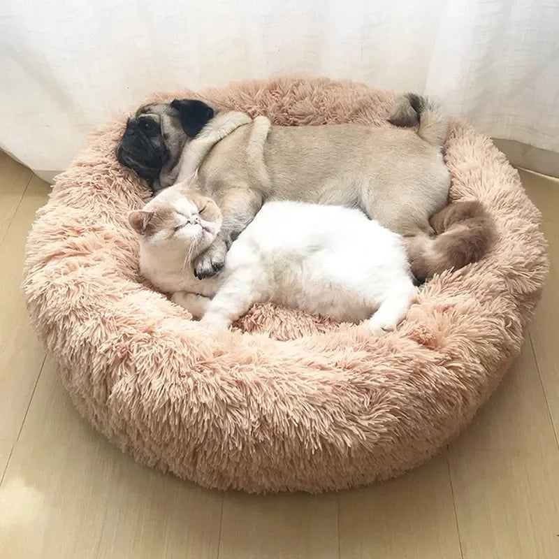 Cama Redonda de Pelúcia para Gatos - Miauverso