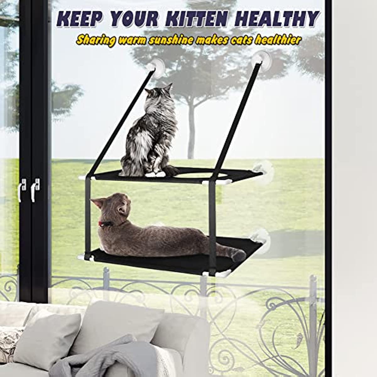 Poleiro de Janela Reforçado com Ventosas e 360° de Banho de Sol para Gatos - Miauverso